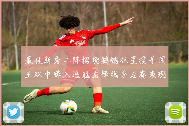 最佳新秀二阵揭晓鹈鹕双星携手国王双中锋入选猛龙锋线季后赛表现抢眼