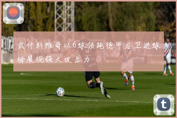 武什科维奇以6球领跑德甲后卫进球榜展现强大攻击力
